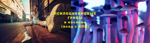 спайс Баксан